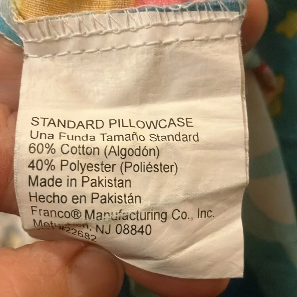 Care Bears vintage standard pillow care rainbow trail Catch Some Fun